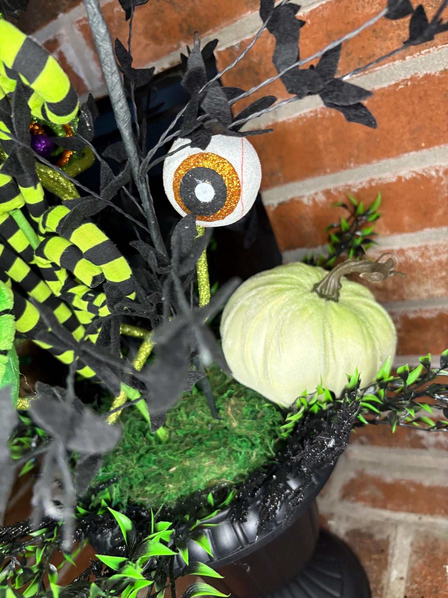 Spooky Eyeball and Carnivorous Plant Arrangement